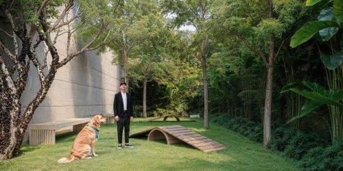 12_Perspectiva-meramente-ilustrativa-do-Pet-Place-1